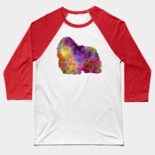 Coton de Tulear in watercolor Baseball T-Shirt